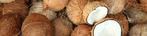 Fascinating Health Benefits of Coconuts